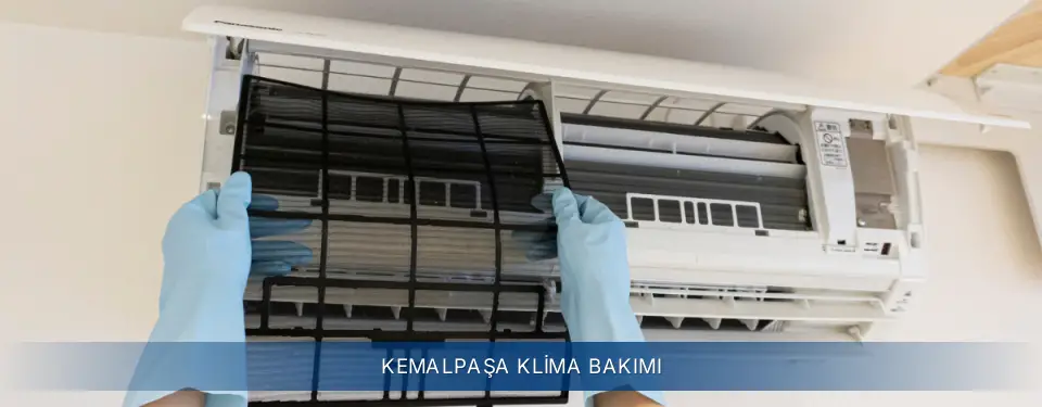 Kemalpaşa İlçemi Electrolux Klima Bakımı
