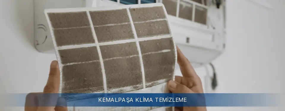 Kemalpaşa İlçemi Electrolux Klima Temizleme